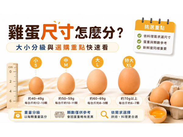 雞蛋尺寸怎麼分？SS、S、M、L、LL重量規格與料理用途一次看懂