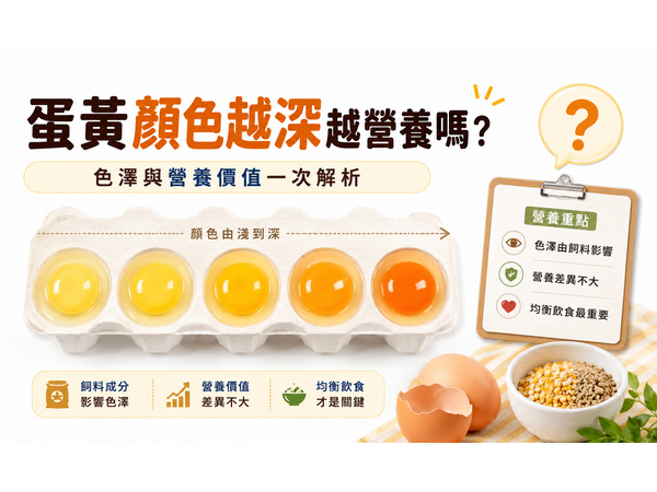 蛋黃顏色越深越營養嗎？破解橘紅蛋黃、新鮮度與飼料迷思